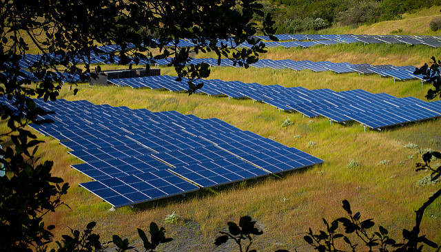 Solar farm